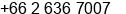Fax number of Mr. Mathew Liu at Bangkok