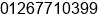 Mobile number of Mr. Harry Nguyen at Ho Chi Minh City