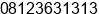 Phone number of Mr. boby lesmana at gianyar