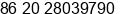 Phone number of Ms. Ella Wu at Guangzhou