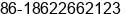 Phone number of Mr. Leo Zhang at Tianjin