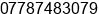 Phone number of Mr. Rudi Hantono at Batam