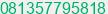 Phone number of Mr. Leonardo Tan at Surabaya